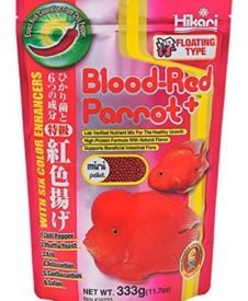 Hikari Blood Red Parrot Floating