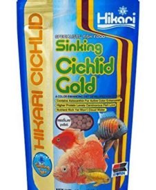Hikari Cichlid Gold Sinking