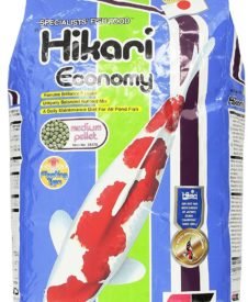 Hikari Economy