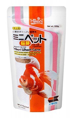 Hikari Wheat-Germ mini