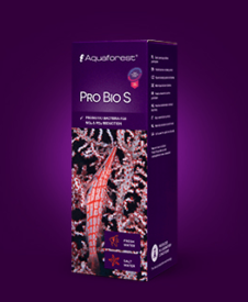 Pro Bio S Probiotic Bacteria - Aquaforest