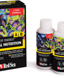 Red Sea Energy AB