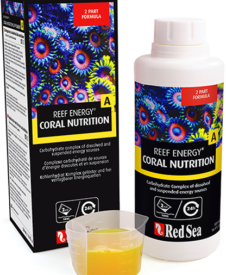 Red Sea Reef Energy A