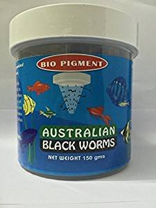 Australian Black Worms Bio Pigment Plus