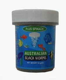 Australian Black Worms Plus Spinach