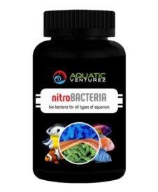 AQUATIC VENTUREZ Nitro Bacteria | 40g